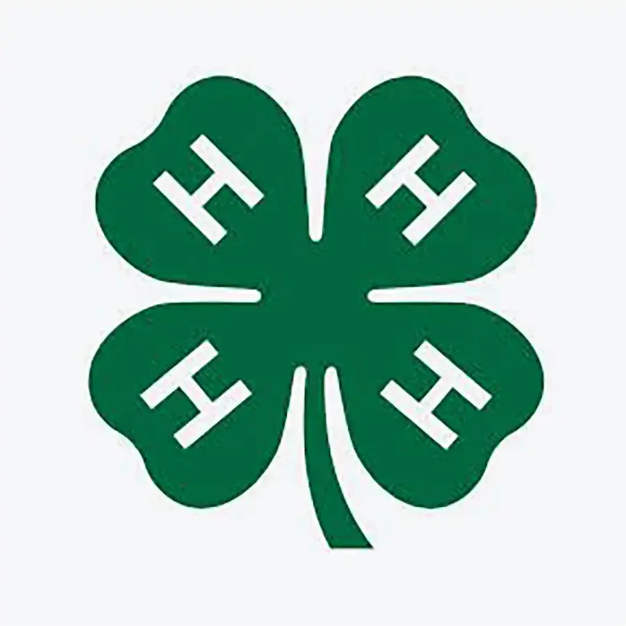 4H logo
