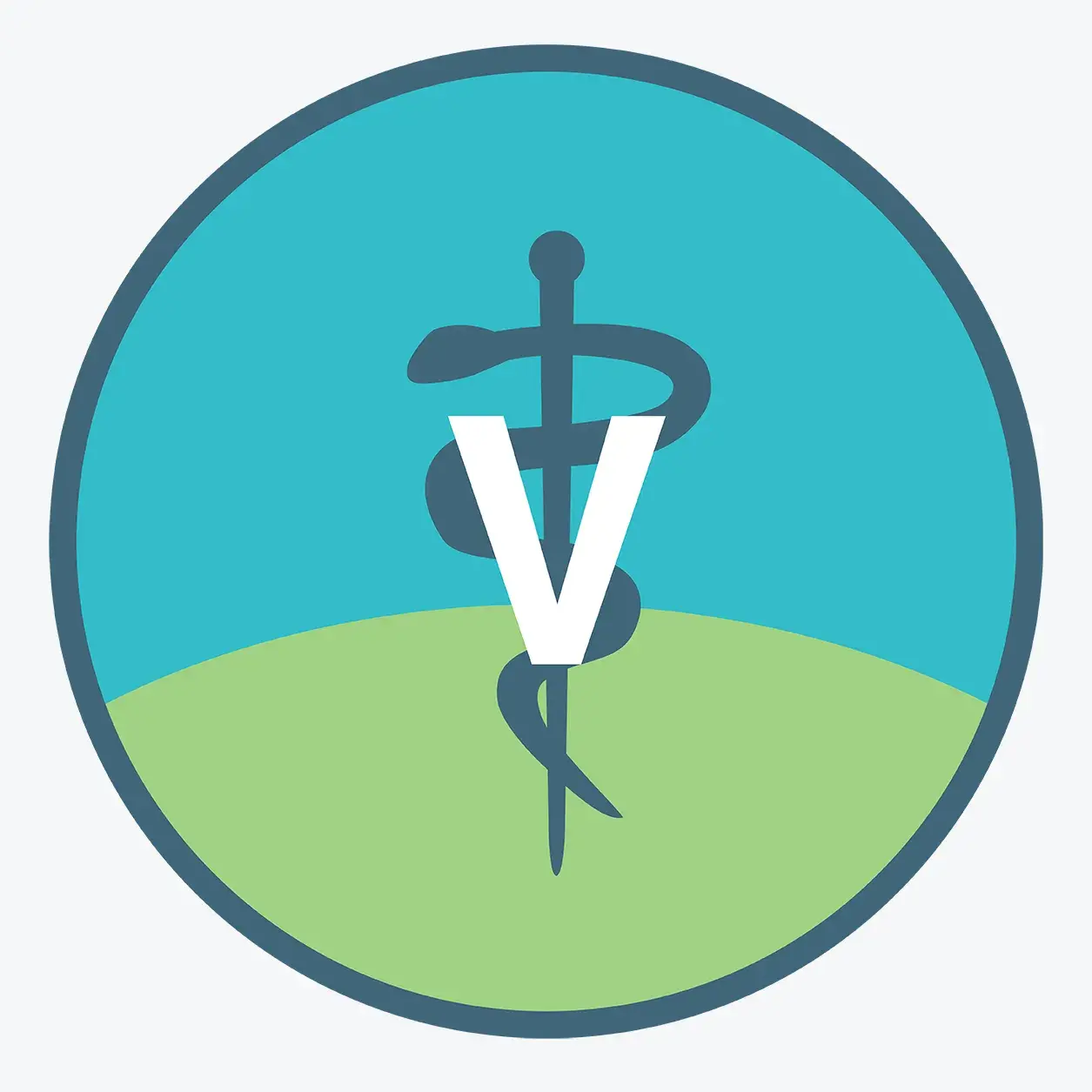 Icon of a snake interwoven around a rod with the letter V overtop